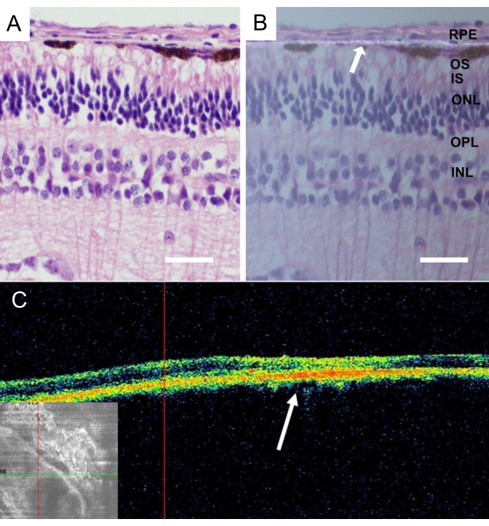 Figure 9