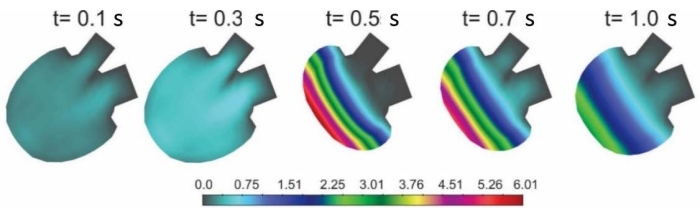 Figure 10