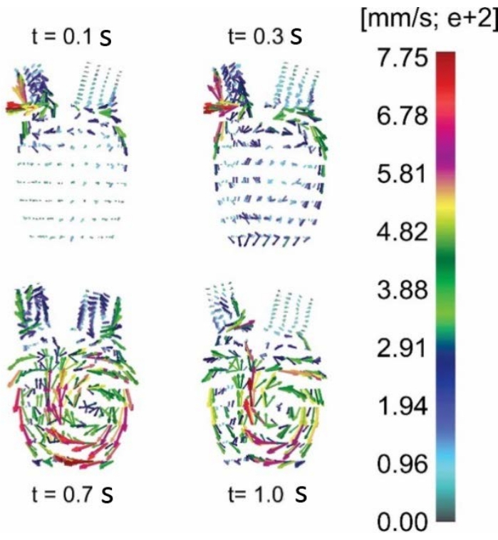 Figure 12