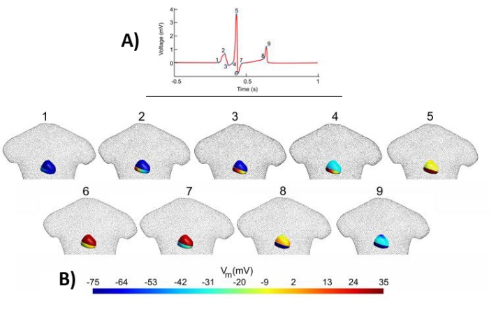 Figure 13