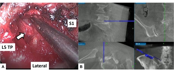 Figure 7