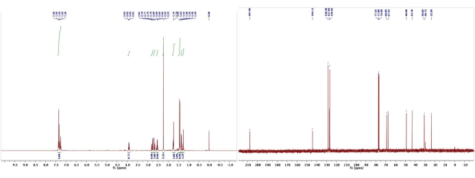 Figure 13