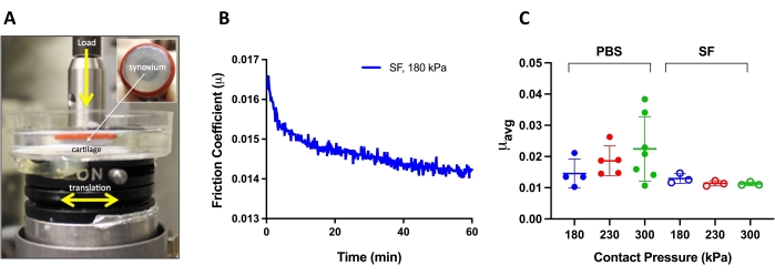 Figure 6