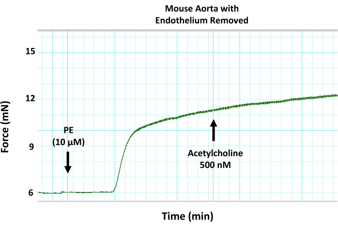 Figure 8