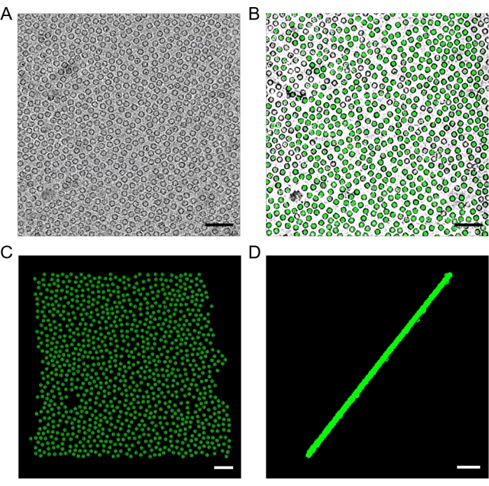 Figure 10