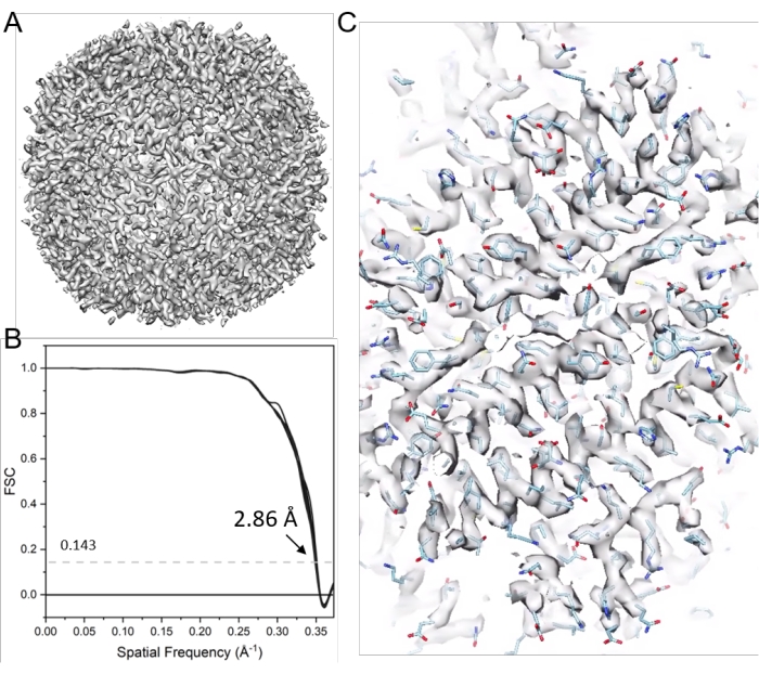 Figure 11