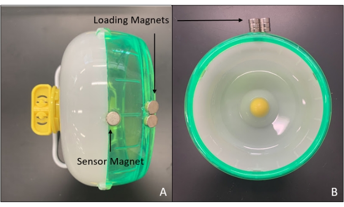 Figure 2