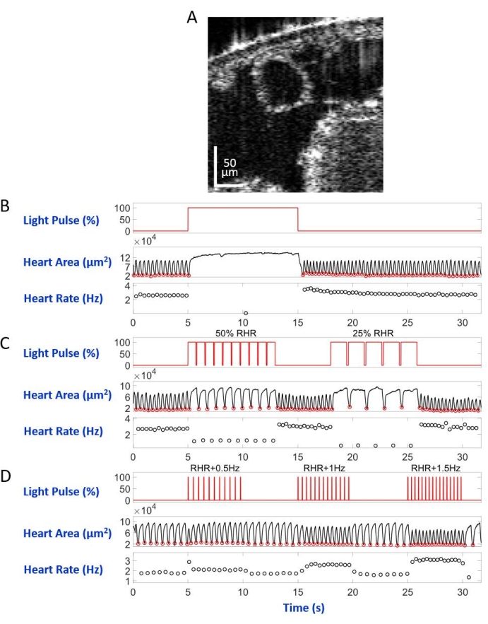 Figure 5