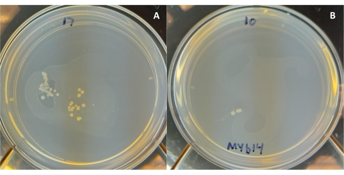 Figure 6