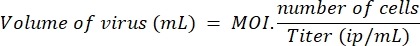 Equation 3