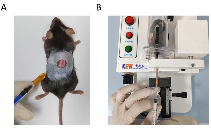 Figure 5