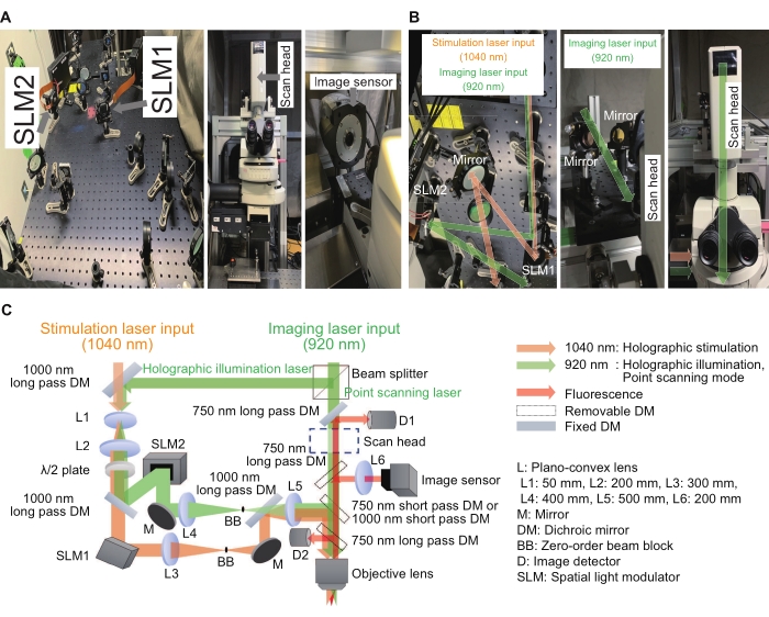 Figure 2