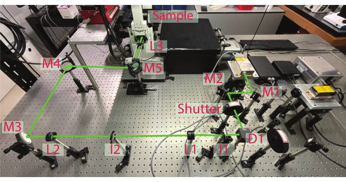 Figure 2