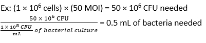 Equation 7