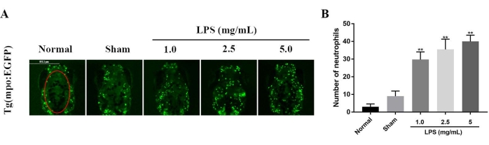 Figure 6