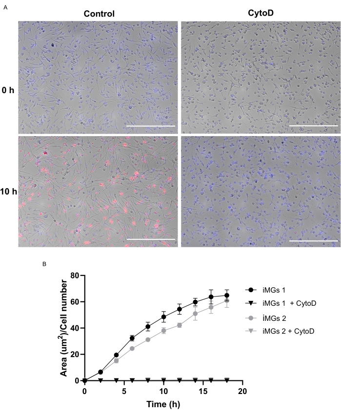 Figure 5