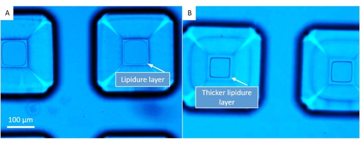 Figure 9