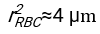 Equation 4