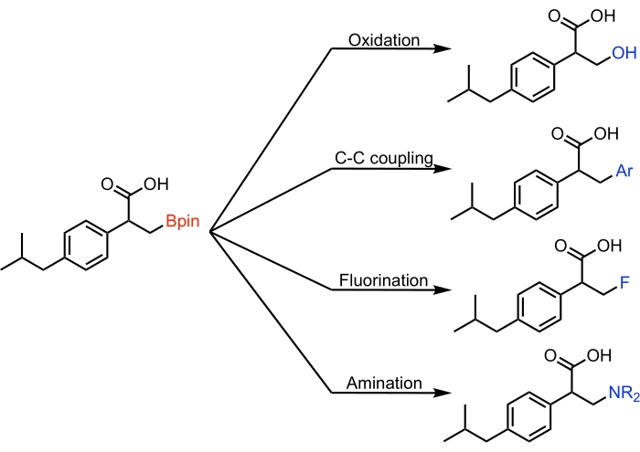 Figure 9