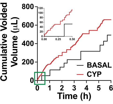 Figure 11