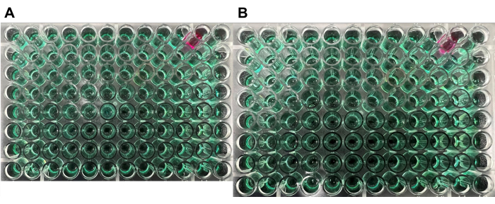 Figure 6