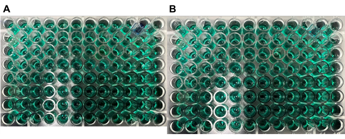 Figure 7