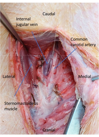 Figure 5