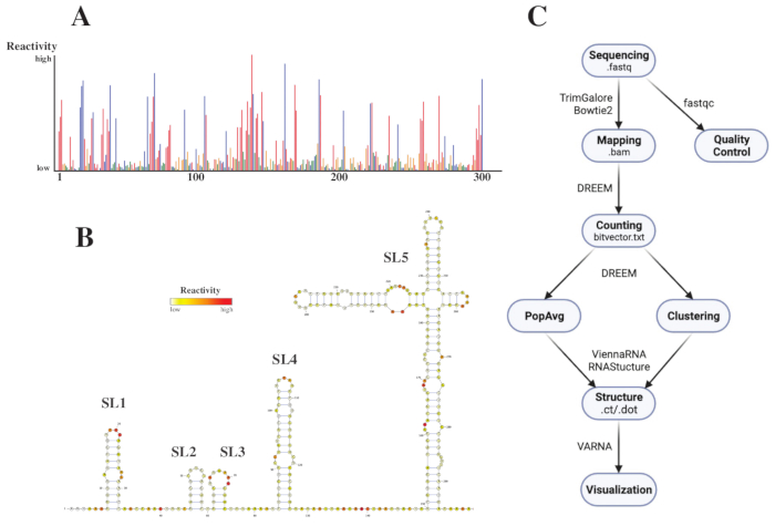 Figure 4