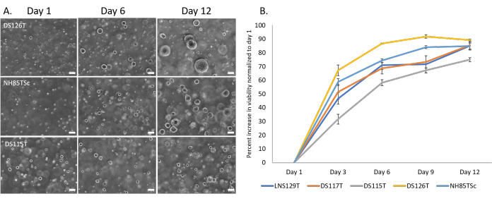 Figure 3