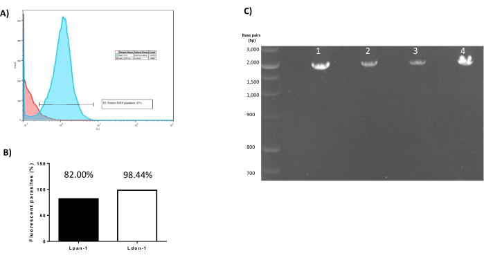 Figure 4