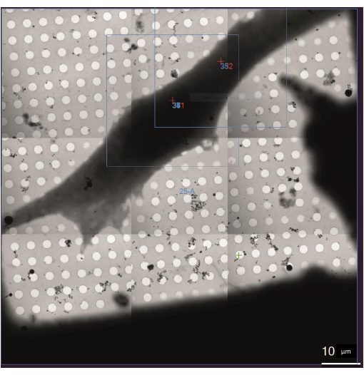 Figure 10