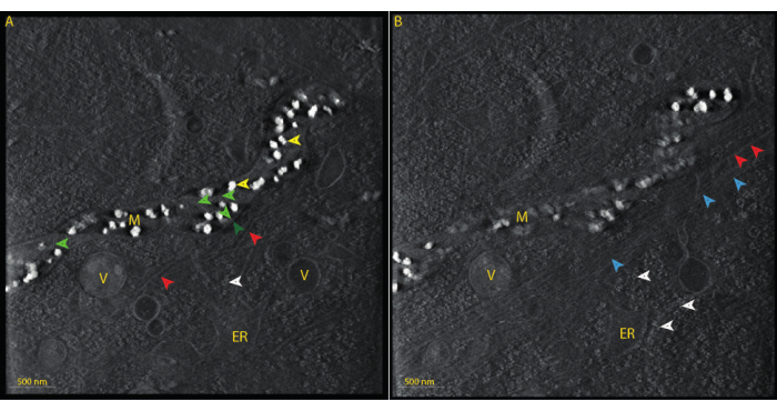 Figure 14