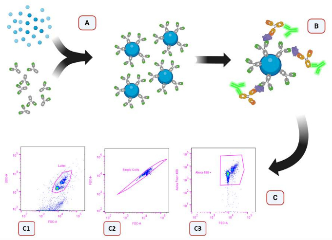 Figure 4