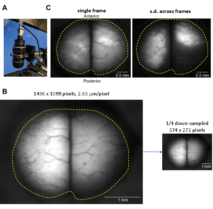 Figure 4