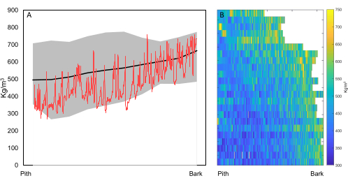 Figure 12