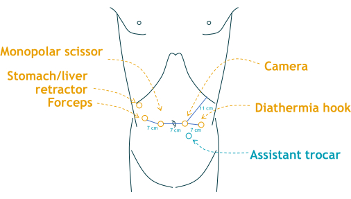 figure-results-4 figure-results-4