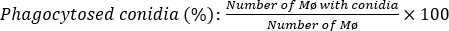 Equation 1