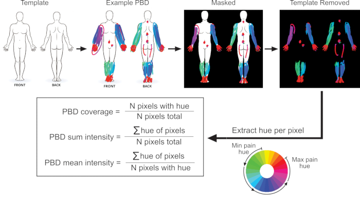 Quantifying Pain Location and Intensity with Multimodal Pain Body ...