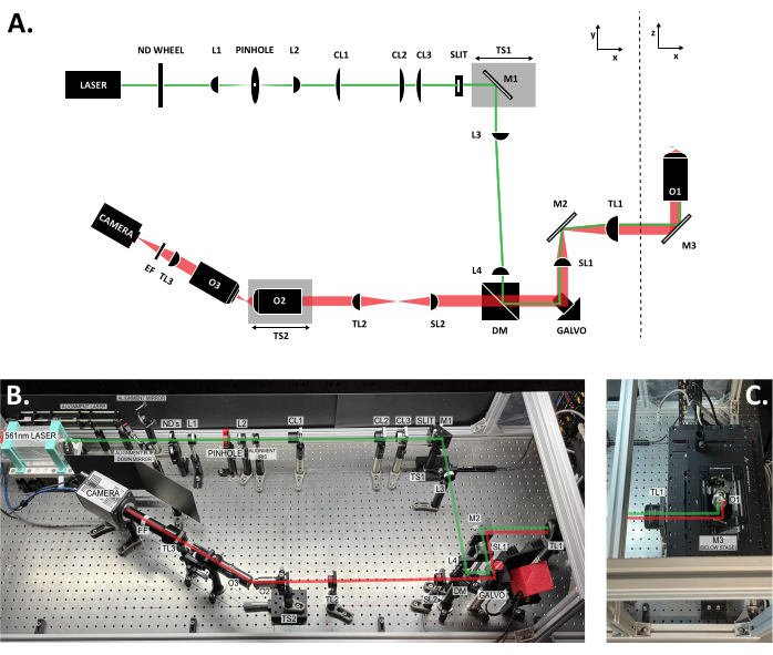 Figure 3