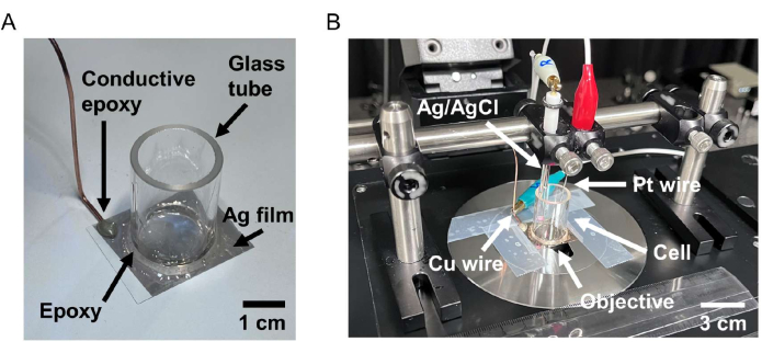 Figure 4