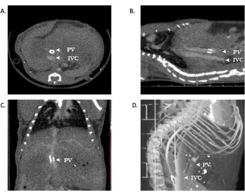 Figure 11