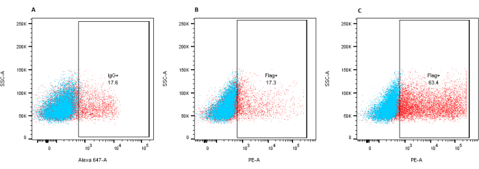 Figure 5