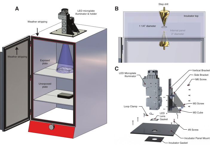 Figure 2