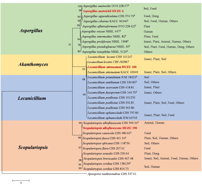 Figure 6