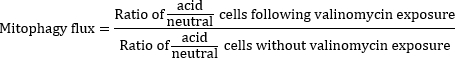 Equation 2