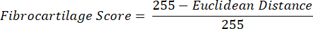 Equation 2