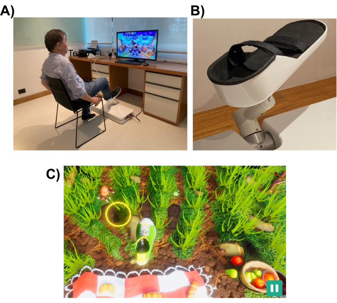 Figure 1