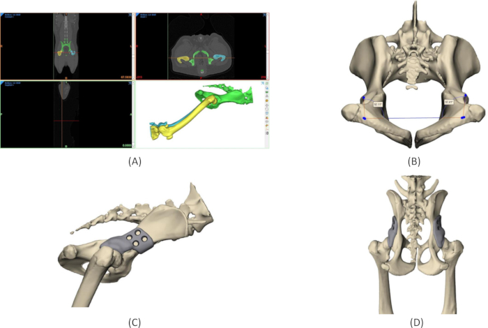 Figure 4