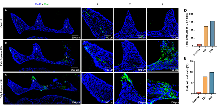 Figure 6