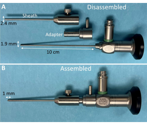 Figure 2